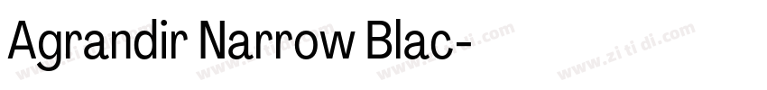 Agrandir Narrow Blac字体转换